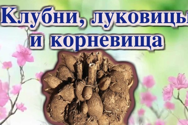 Kraken зеркало kraken link top