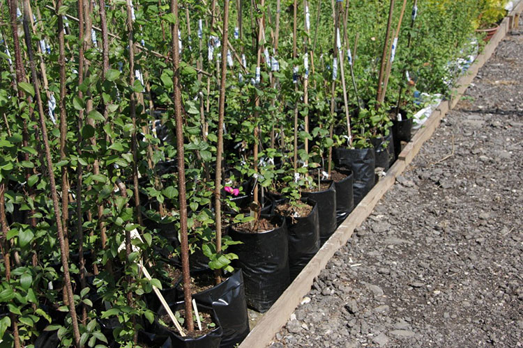 Кракен маркетплейс почему не закроют