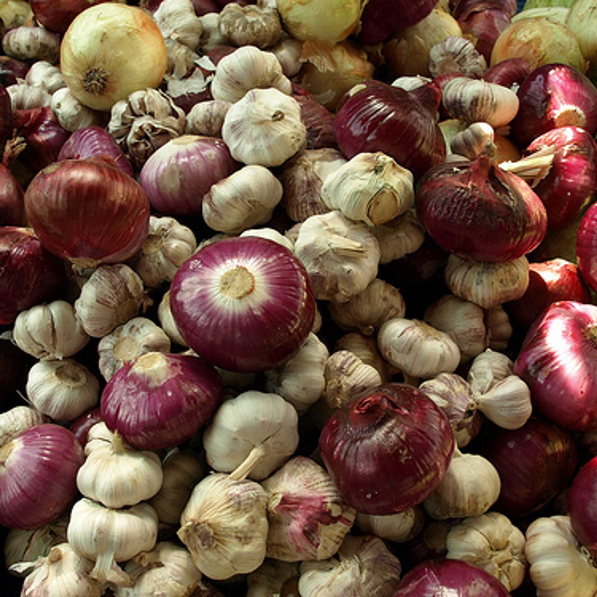 Почему в кракене пользователь не найден